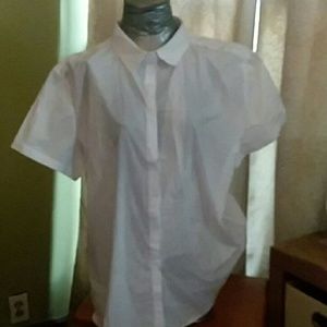 Short sleeve button down blouse! NWT!